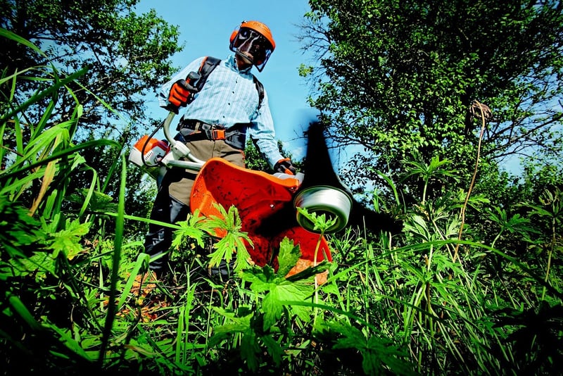 Spring Garden Maintenance
